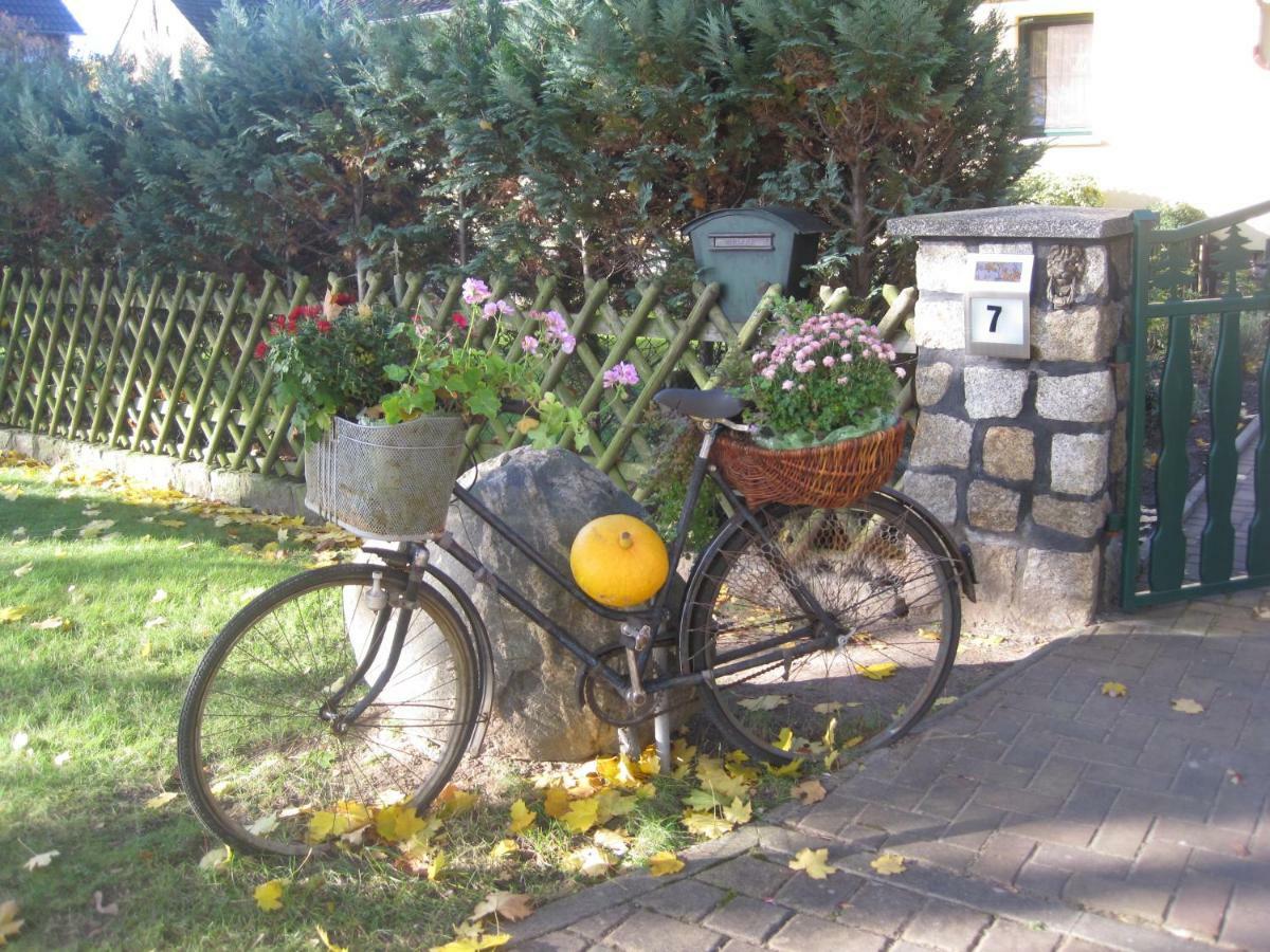 Pension Zum Weissen Hirsch Reitwein Экстерьер фото