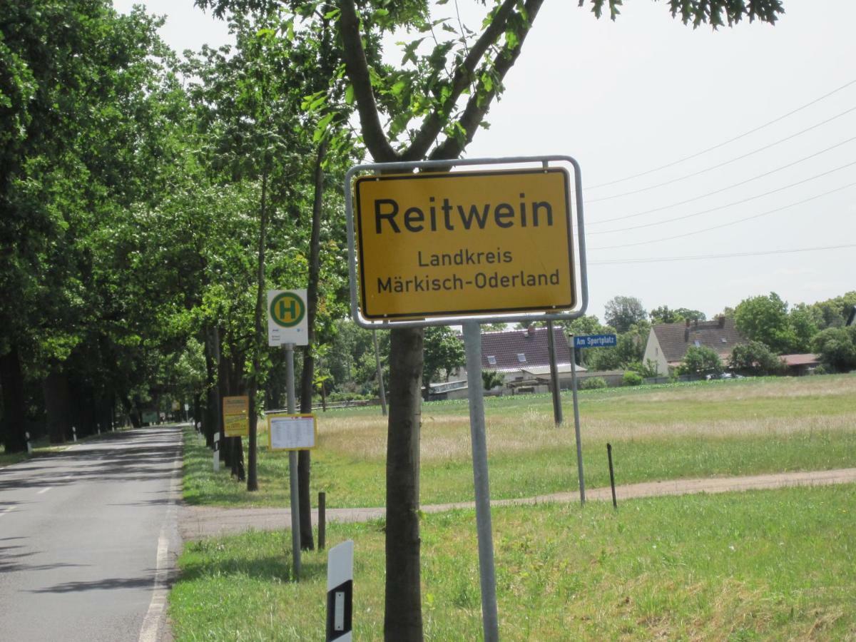 Pension Zum Weissen Hirsch Reitwein Экстерьер фото