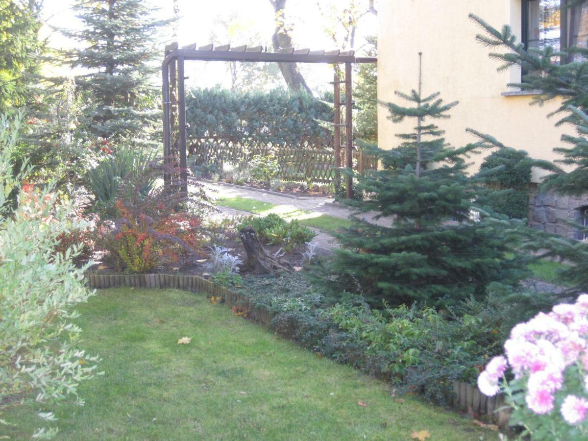 Pension Zum Weissen Hirsch Reitwein Экстерьер фото