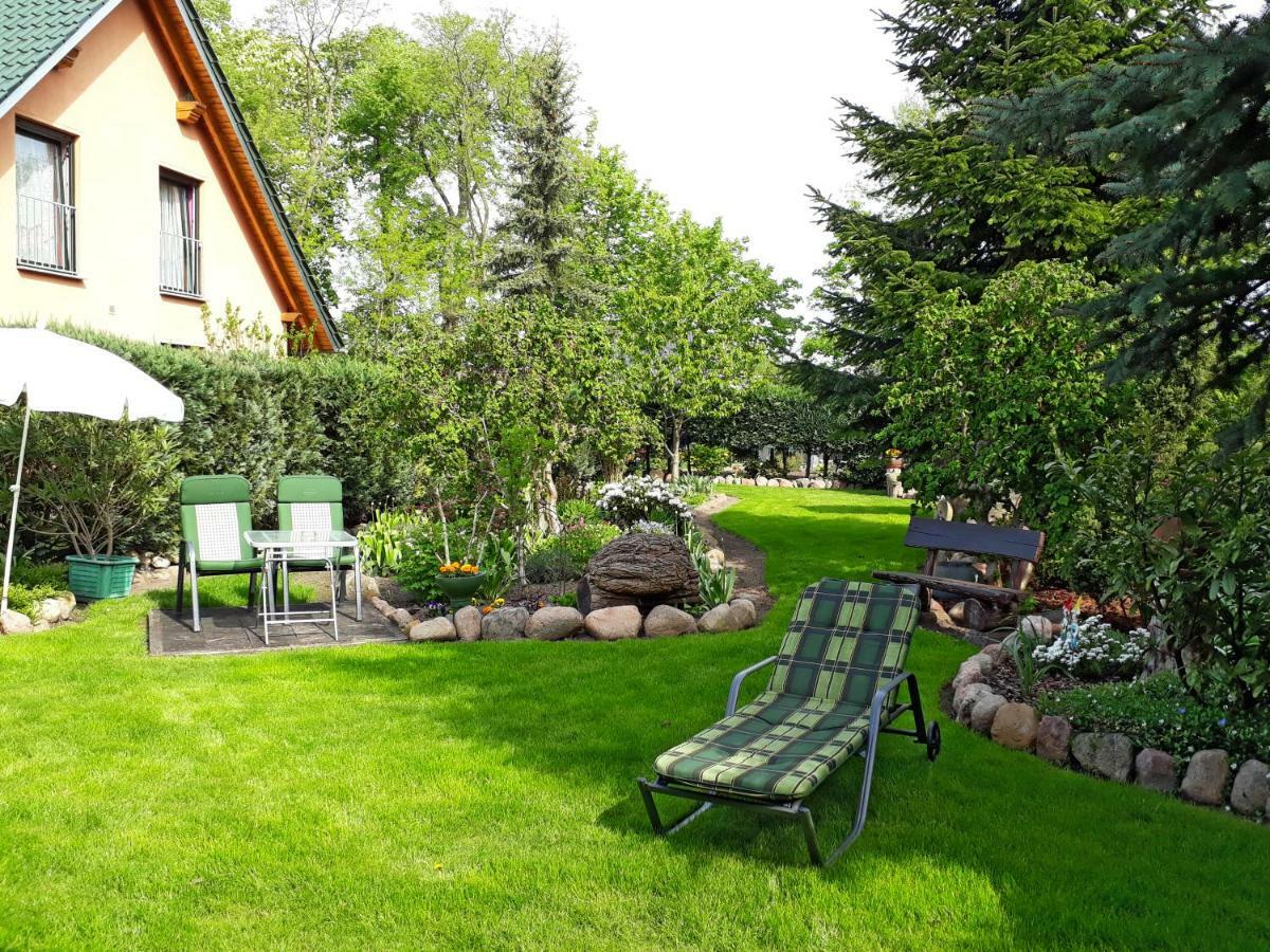 Pension Zum Weissen Hirsch Reitwein Экстерьер фото