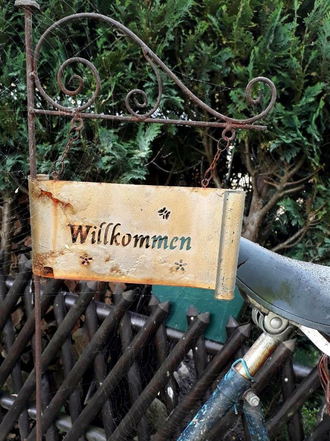 Pension Zum Weissen Hirsch Reitwein Экстерьер фото