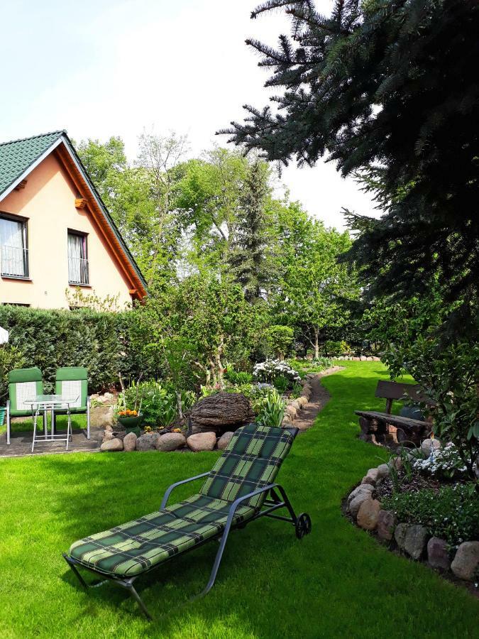 Pension Zum Weissen Hirsch Reitwein Экстерьер фото