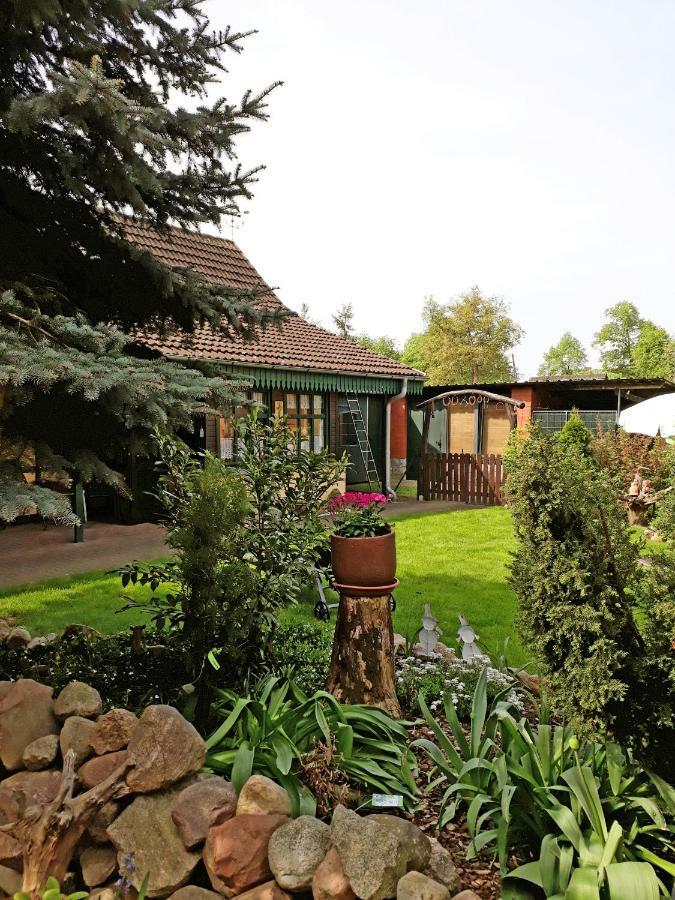 Pension Zum Weissen Hirsch Reitwein Экстерьер фото