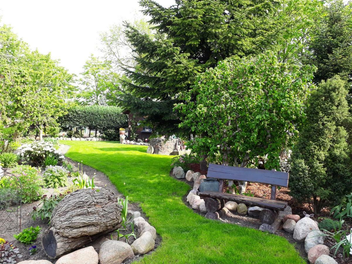 Pension Zum Weissen Hirsch Reitwein Экстерьер фото